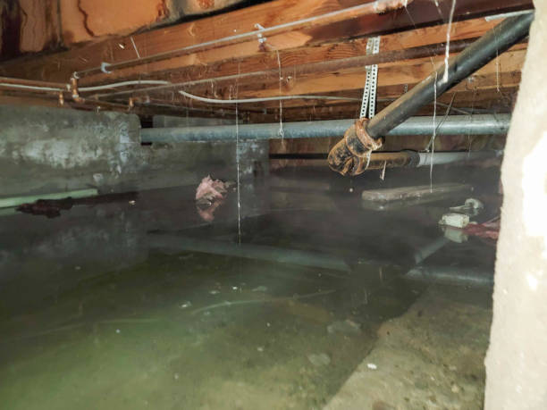 Water damage restoration insurance claims in Mattapoisett Center, MA