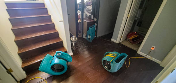 Best 24-hour water damage restoration  in Ttapoisett Center, MA