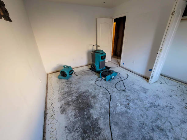 Best Mold removal after water damage  in Ttapoisett Center, MA