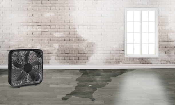 Best Water damage restoration near me  in Ttapoisett Center, MA