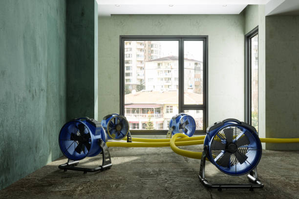 Best Water damage restoration near me  in Ttapoisett Center, MA